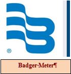 LG WEB Badger Meter Logo