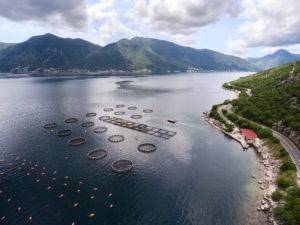 Aquafeed fish farm aerial photo