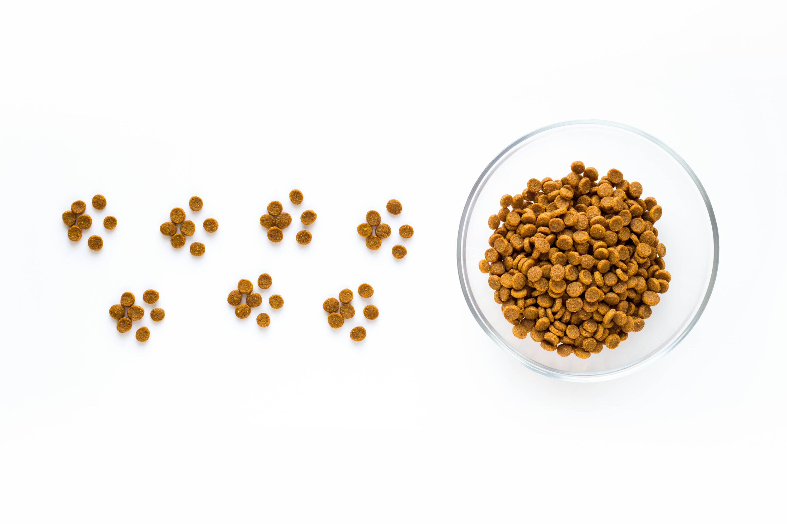 Paw sign made of dry cat or dog food with full bowl. Pet care and veterinary concept with letters on white background.