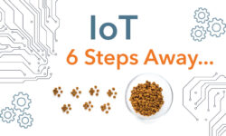 Pet-Food_6-Step-Process_IoT_WEM-Automation