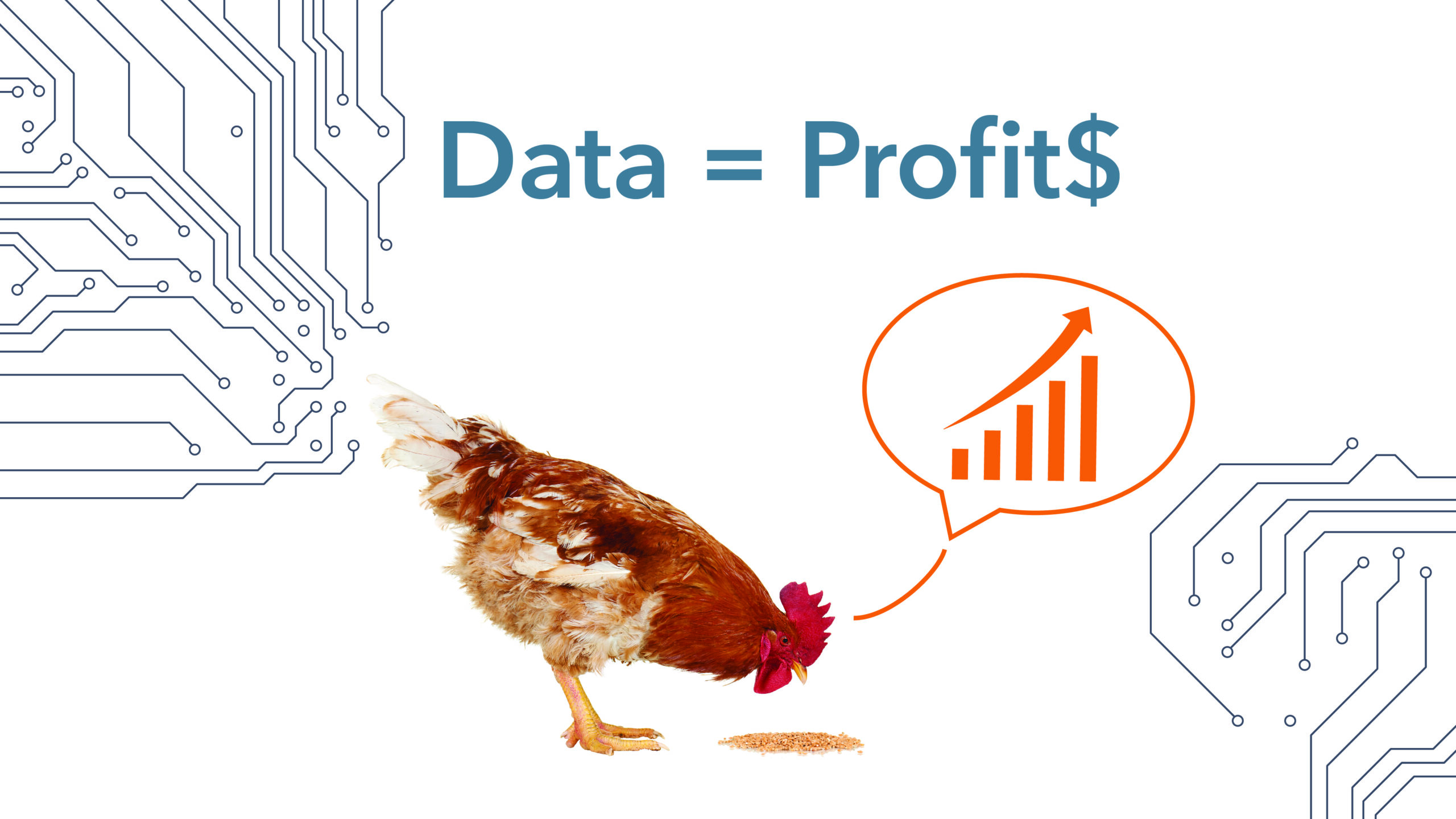 Feed_Data-into-Profit_WEM-Automation